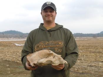 New Wisconsin State record Black Bear